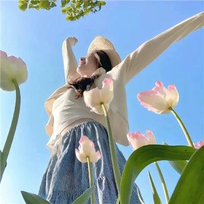 功夫兔与菜包狗第二季